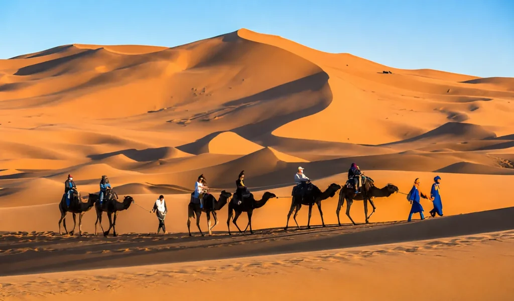 Camel Caravan in the Erg Chebbi Dunes