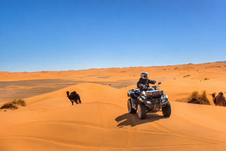 アガディール発サハラ砂漠8日間ツアー in Morocco