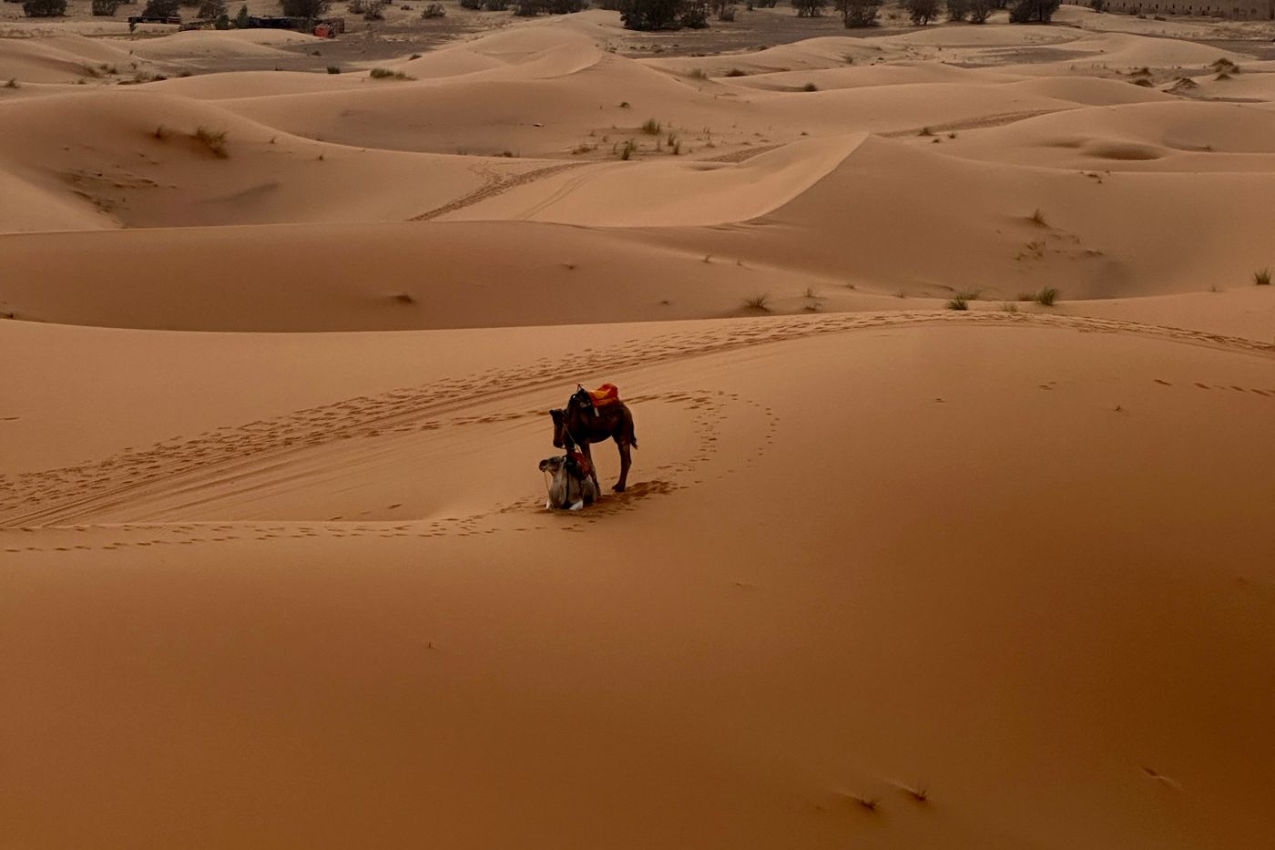 4-day Errachidia to Marrakech desert tour in Morocco
