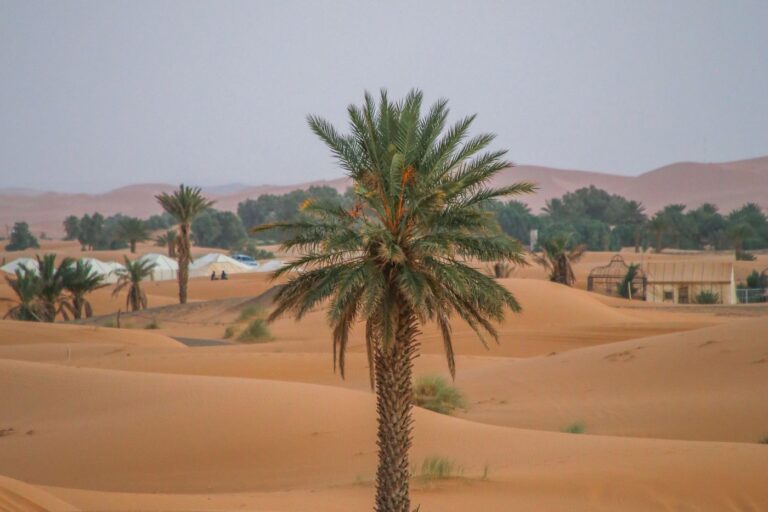 3 Day Marrakech to Merzouga Tour in Morocco