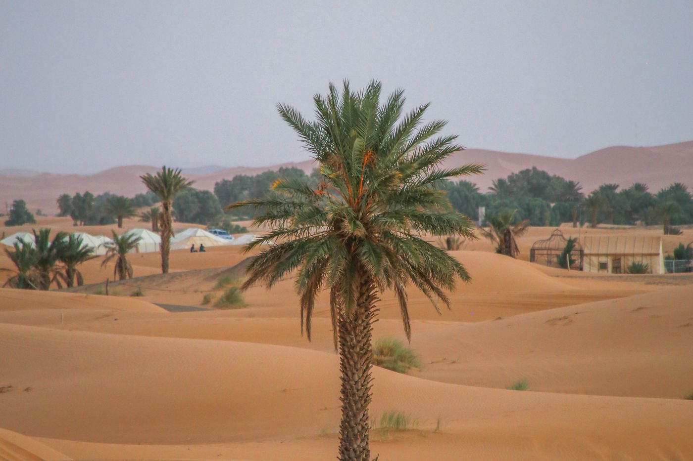 3-day Marrakech to Merzouga tour in Morocco