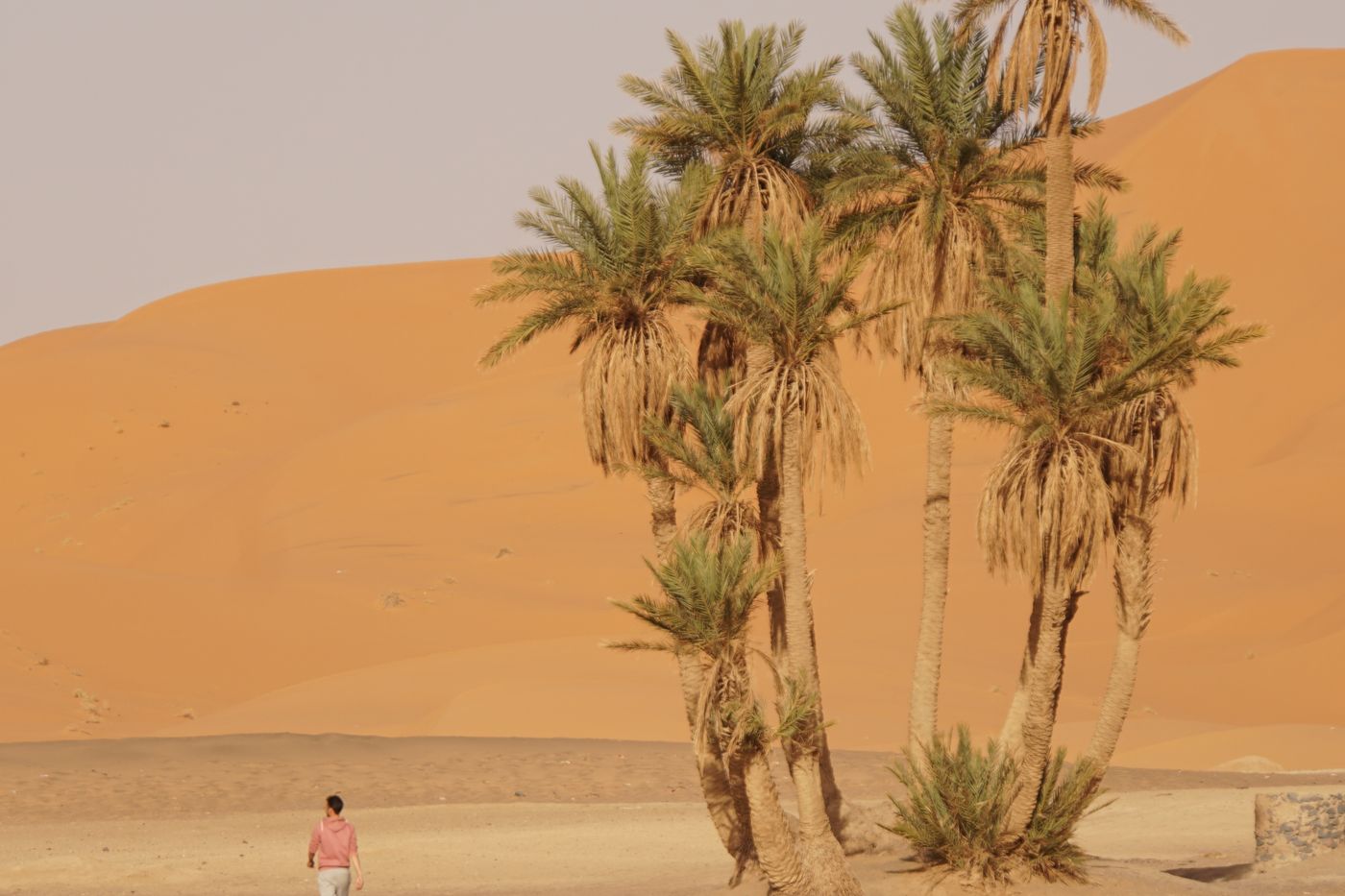 4-day Fes to Marrakech desert tour in Morocco
