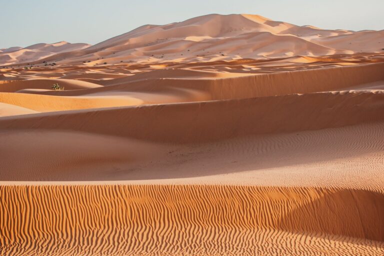 10 Day Agadir Grand Morocco Tour in Morocco