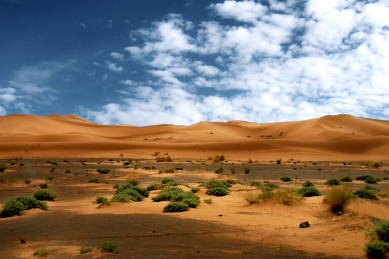 10 Day Morocco Tour from Casablanca in Morocco