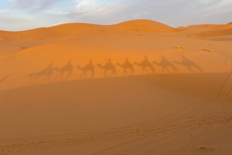 2 Day Fes to Merzouga Desert Escape in Morocco