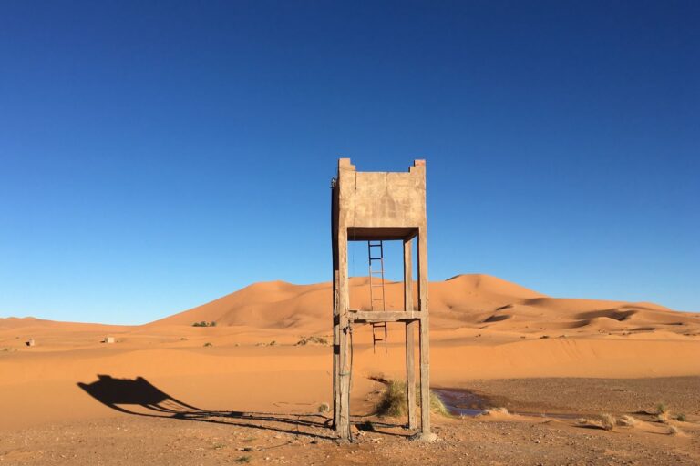 14 Day Tangier Coast Sahara and Imperial Cities in Morocco